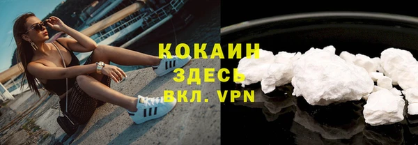 гашик Михайловск