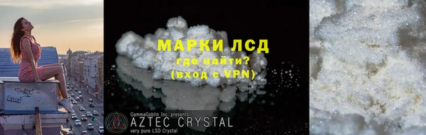 гашик Михайловск