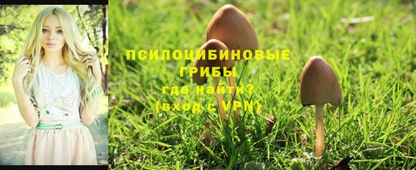 хмурый Михайловка