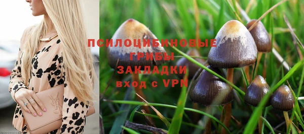 хмурый Михайловка